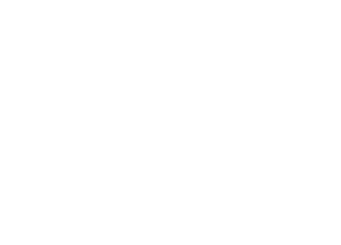 Four Elements Investments
