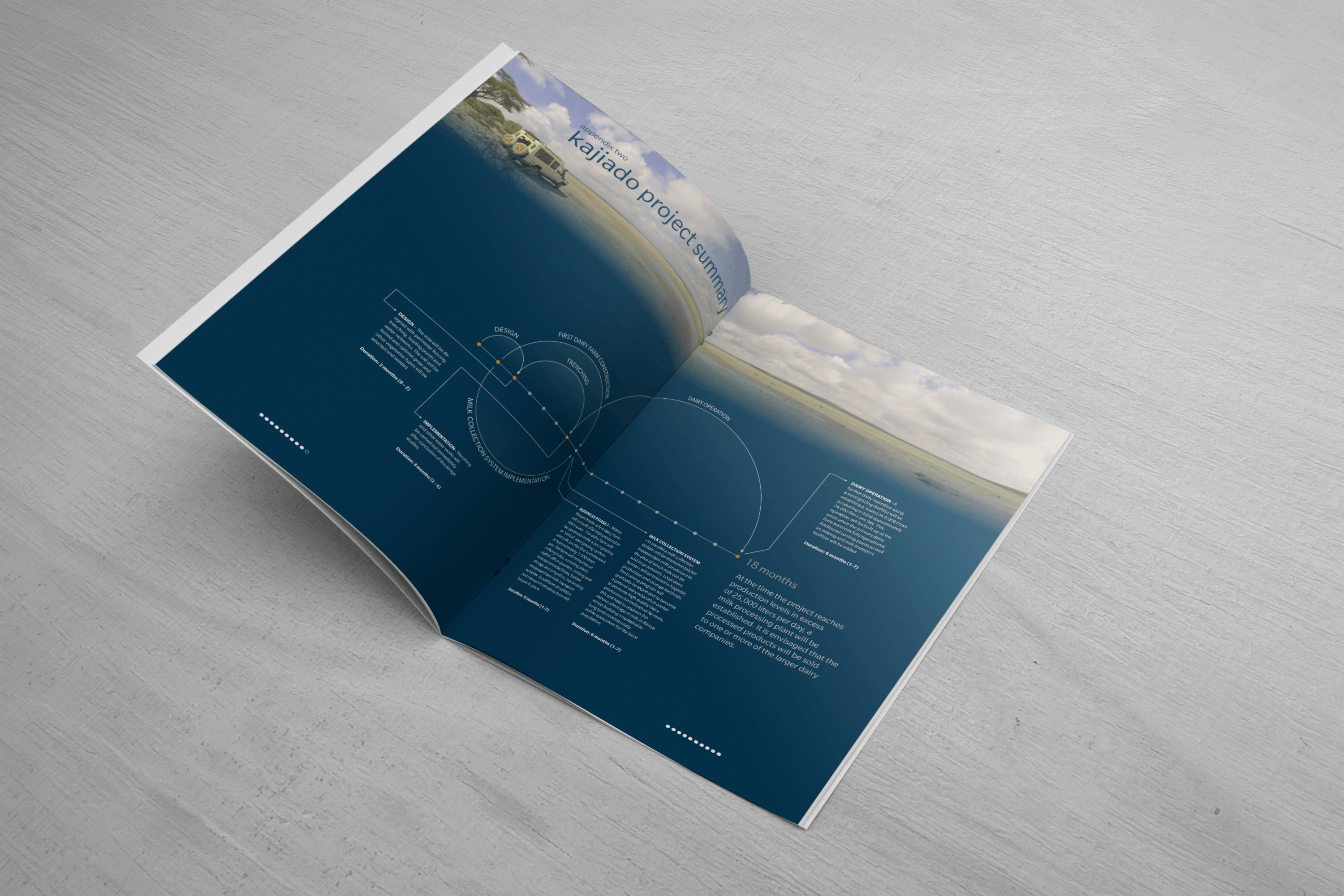 Investment Plan document design