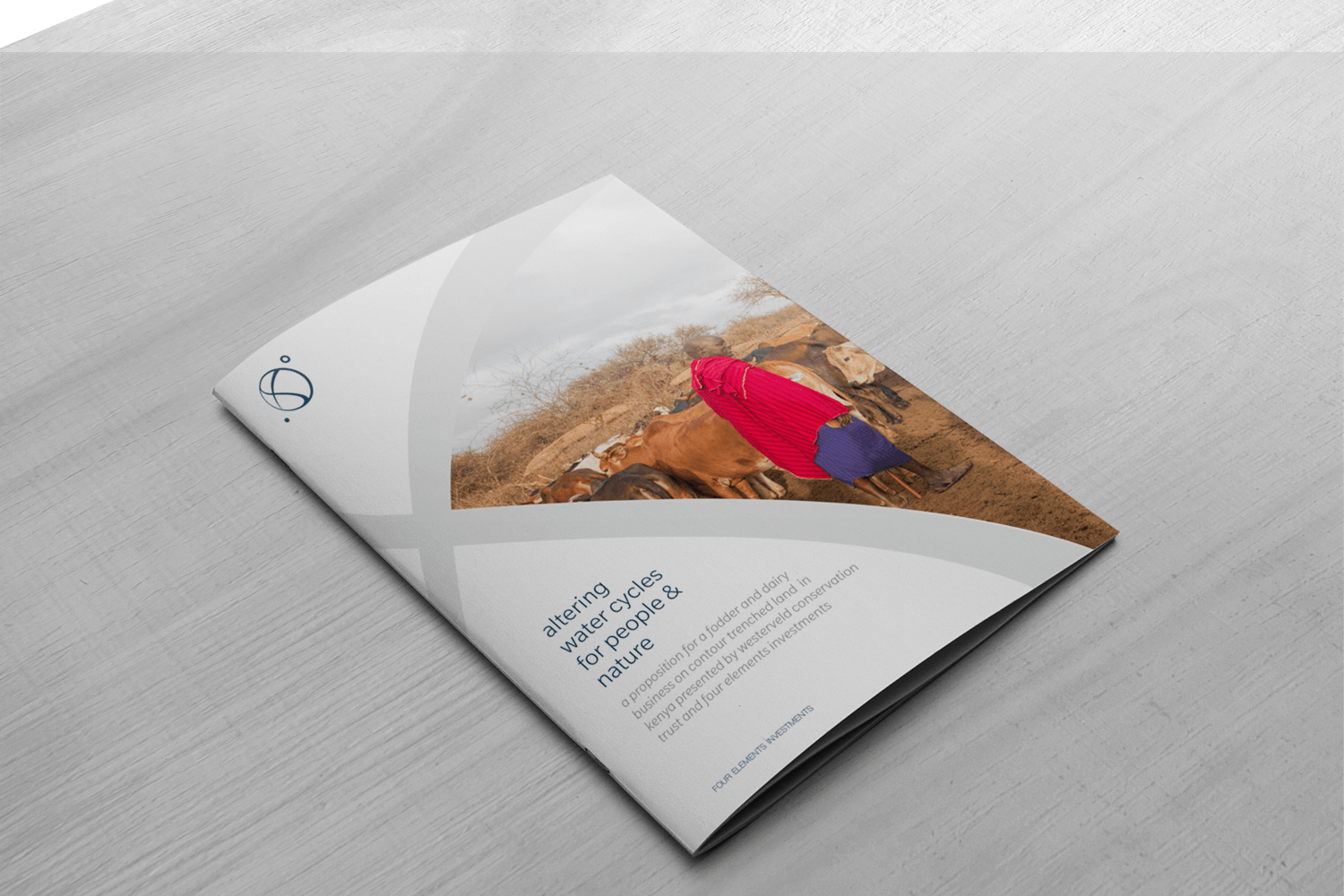 Investment Plan document design