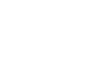 Falcor Engineering